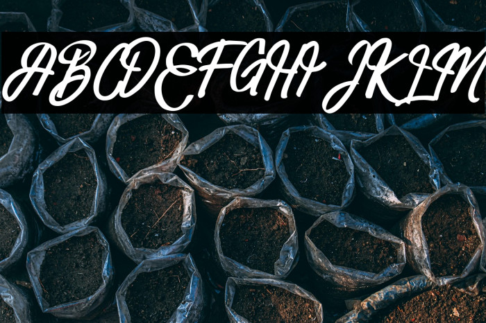 HarbalaFREE Example 2