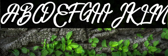 HarbalaFREE Example 3