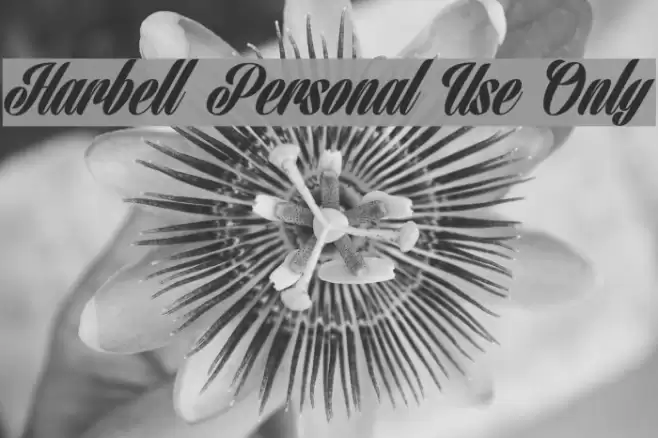 Harbell Personal Use Only フォント examples