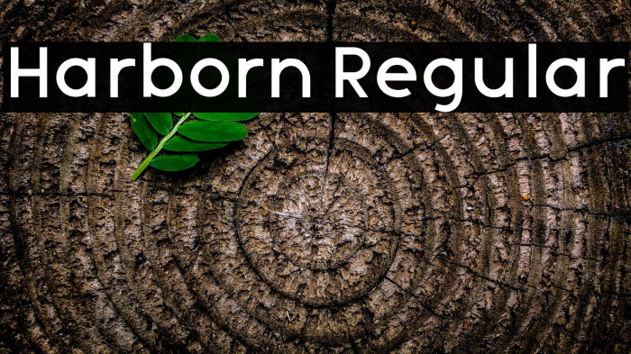 Harborn Regular Example 1