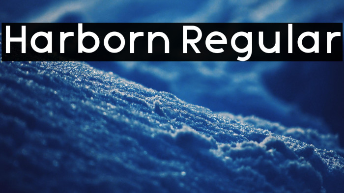 Harborn Regular Example 3