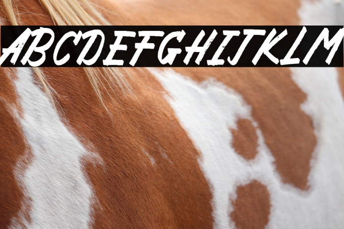 Hard Brush Example 1