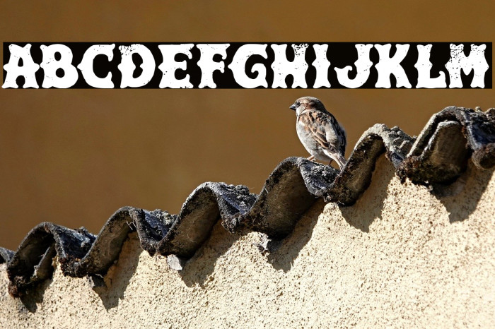 Hard & Fast Co. Example 1