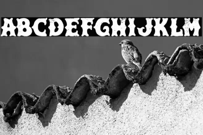 Hard & Fast Co. Font examples