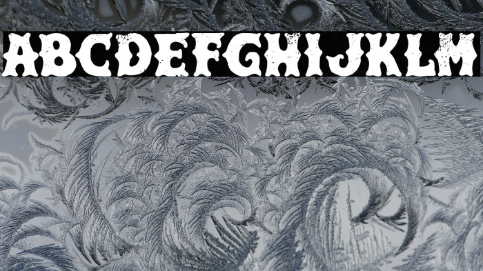 Hard & Fast Co. Example 2