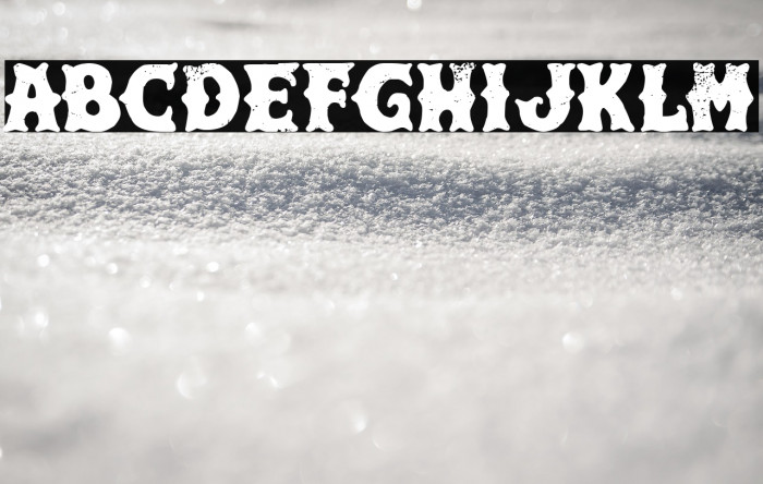 Hard & Fast Co. Example 3