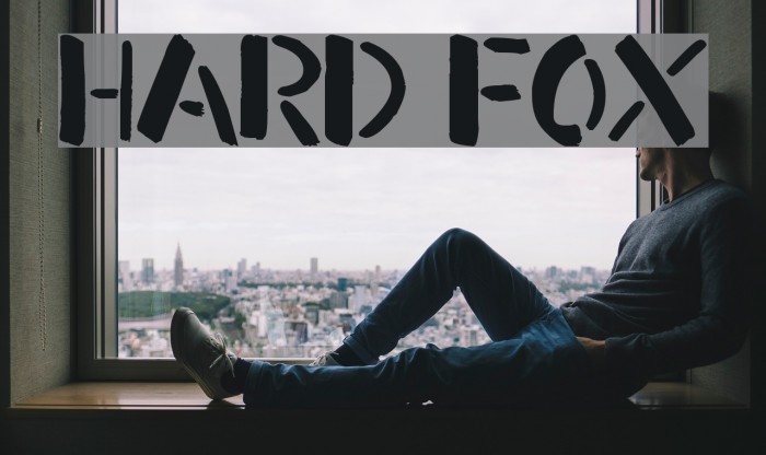 трусы с лисами женские. Hard fox. Hard fox. Hard fox. трусы с лисой.