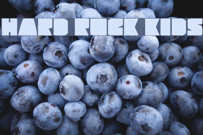 Hard Rock Kids Example 1