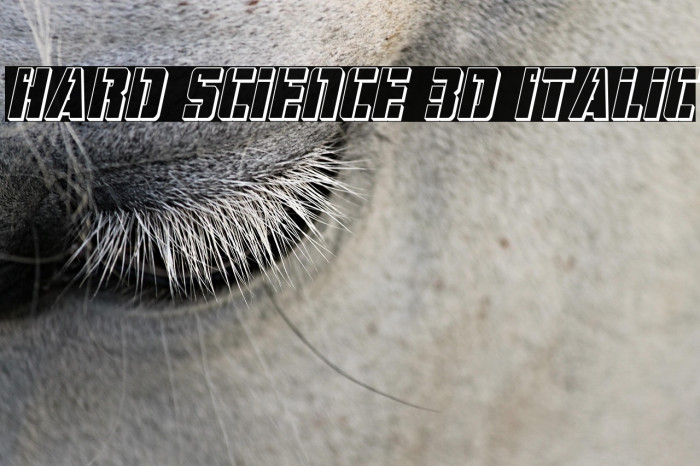 Hard Science 3D Italic Example 3