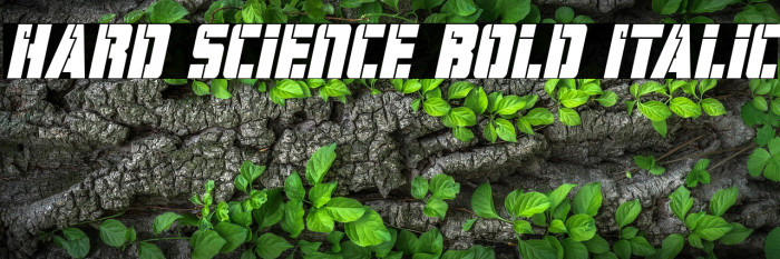 Hard Science Bold Italic Example 1