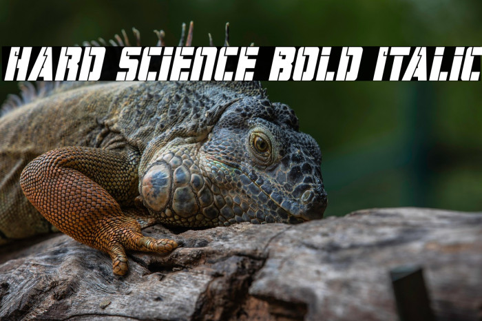 Hard Science Bold Italic Example 2