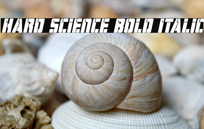 Hard Science Bold Italic Example 3