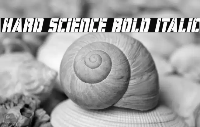 Hard Science Bold Italic Font examples