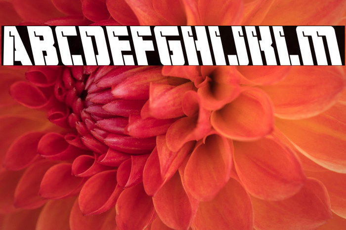 Hard Science Bold Leftalic Example 2