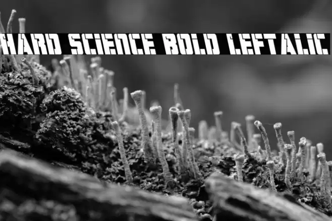 Hard Science Bold Leftalic Font examples