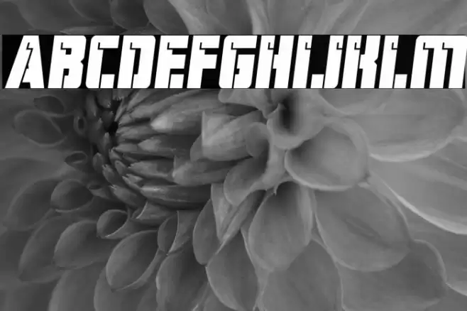 Hard Science Bold Semi-Italic Font examples