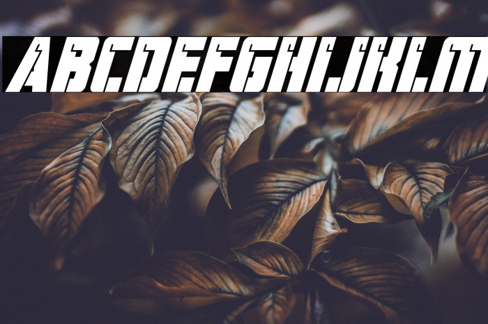 Hard Science Bold Super-Italic Example 1