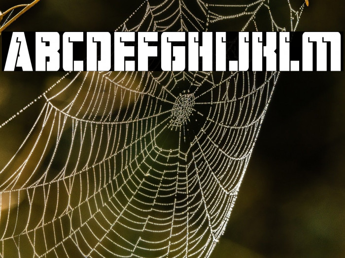 Hard Science Bold Example 1