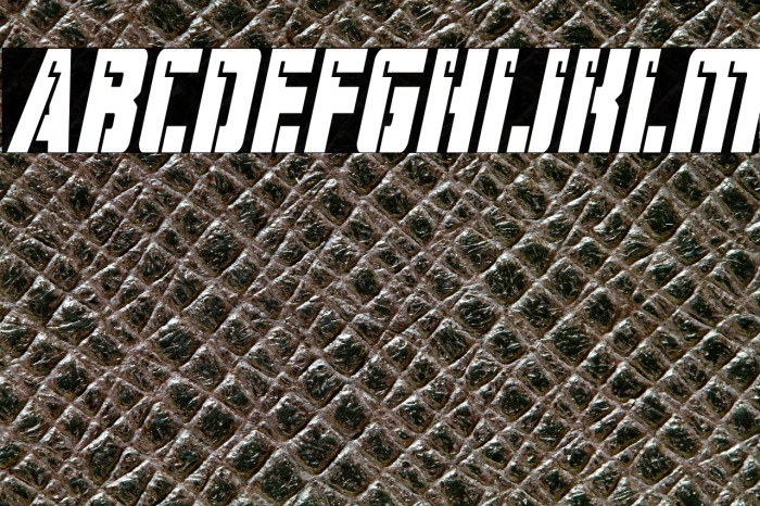 Hard Science Condensed Italic Example 3