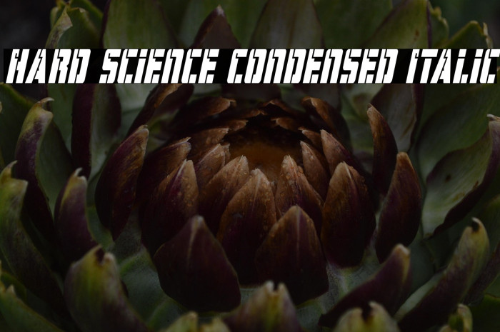 Hard Science Condensed Italic Example 3