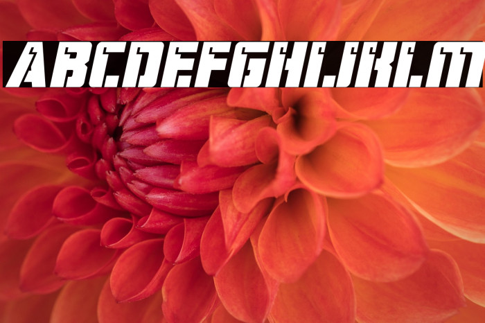 Hard Science Expanded Italic Example 3