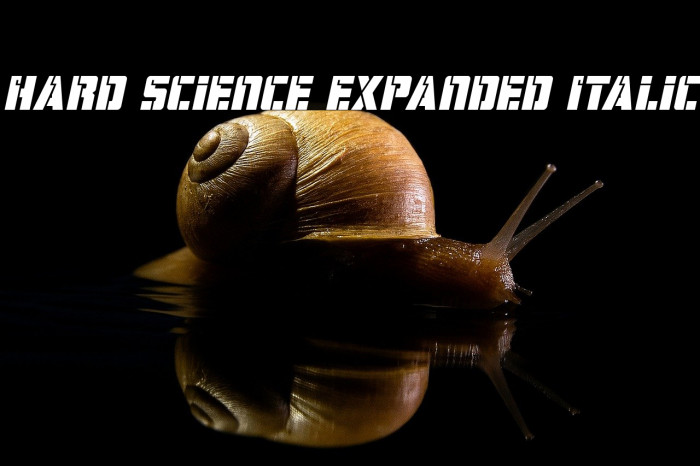 Hard Science Expanded Italic Example 2