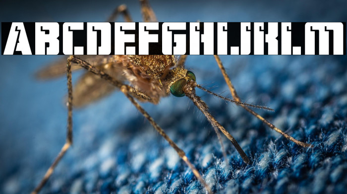 Hard Science Expanded Example 2