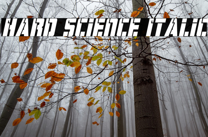 Hard Science Italic Example 1