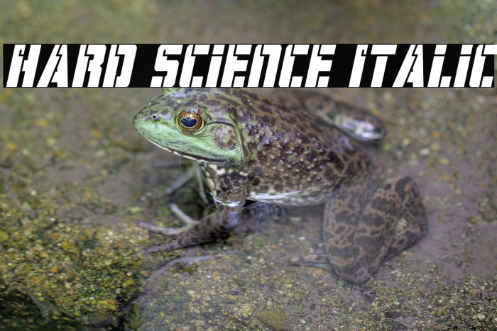 Hard Science Italic Example 2