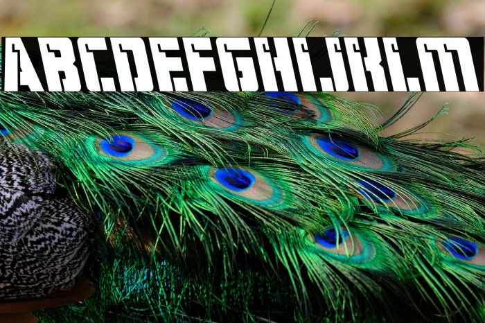 Hard Science Leftalic Example 1