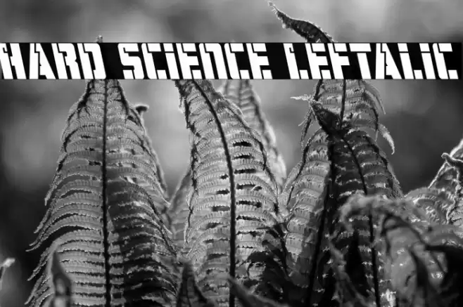 Hard Science Leftalic Font examples