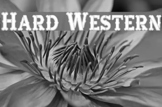 Hard Western Font examples