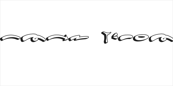 Hard Zone - Shadow -Swash Logo