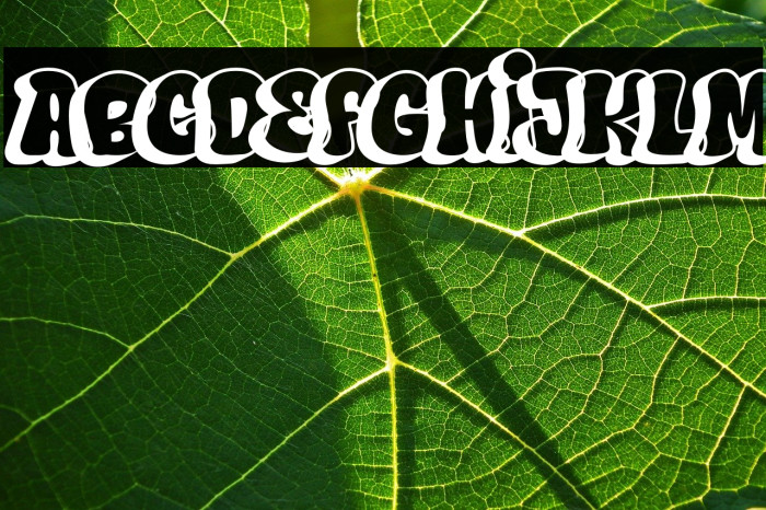 Hard Zone - Shadow Example 1