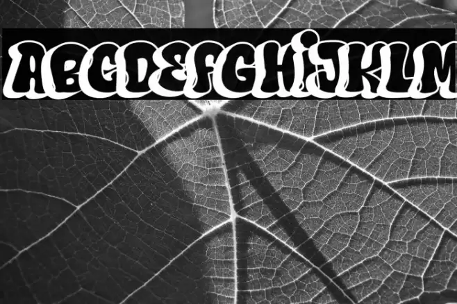 Hard Zone - Shadow  examples