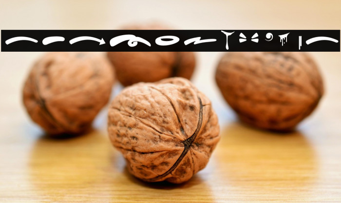 Hard Zone - Swash خط examples