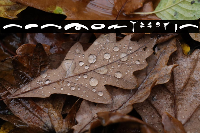 Hard Zone - Swash خط examples