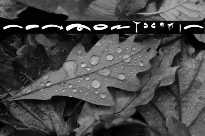 Hard Zone - Swash  examples