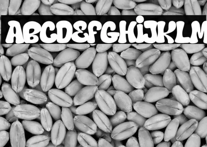 Hard Zone خط examples