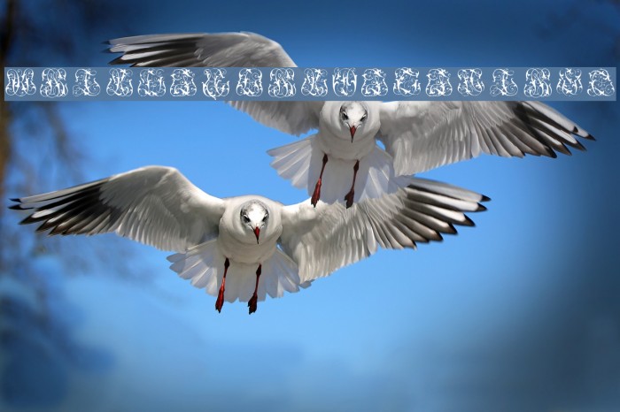 Hard to Read Monograms Example 1