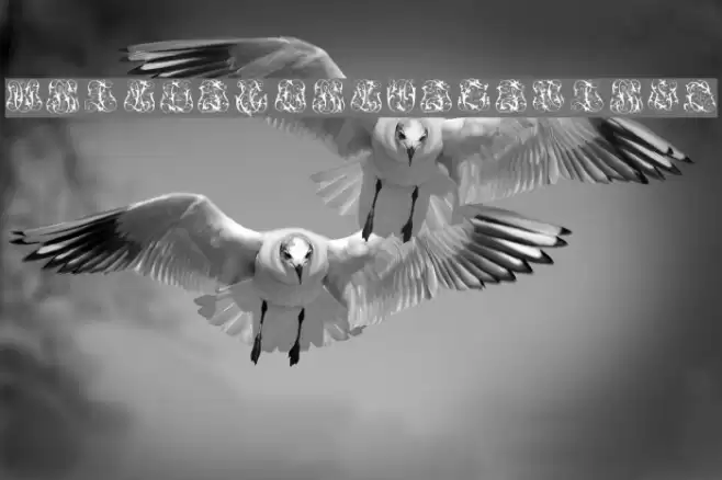 Hard to Read Monograms Font examples