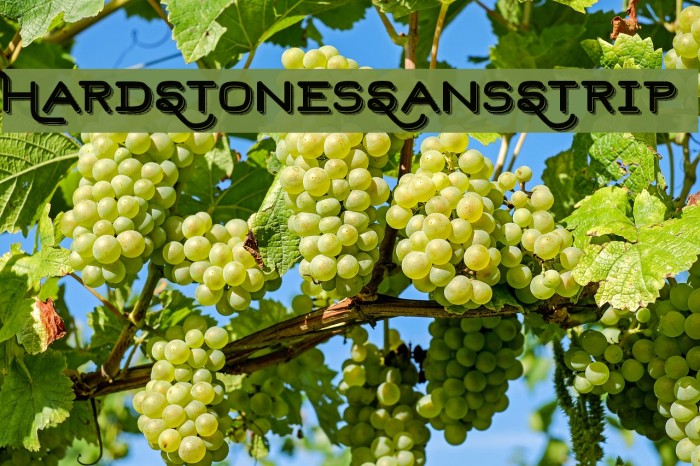 HardStonesSansStrip Example 3