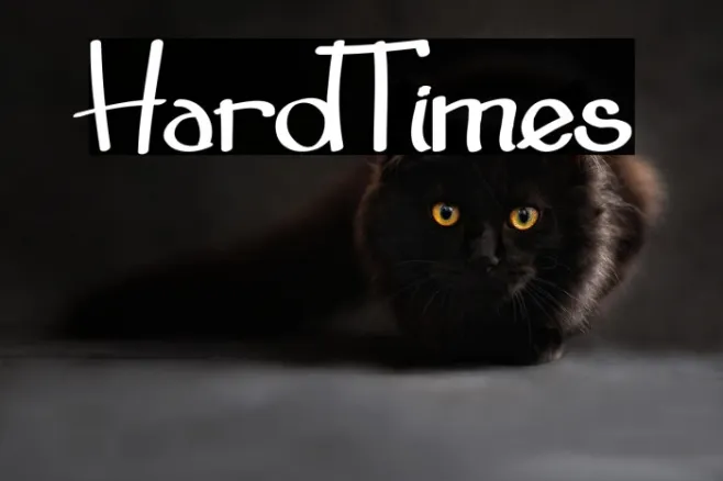 HardTimes Example 3