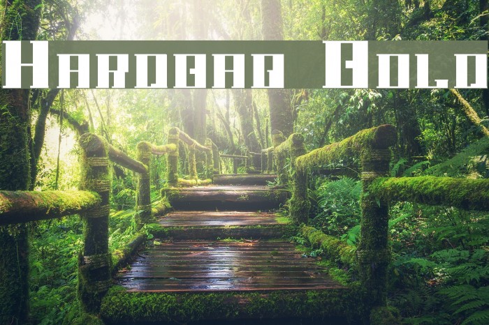 Hardbaq Bold Font examples