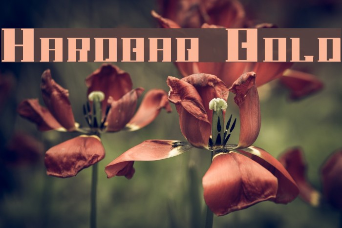 Hardbaq Bold Font examples