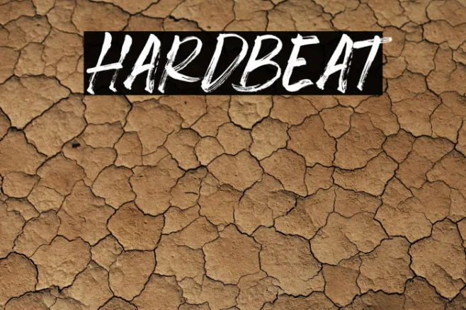 Hardbeat Example 2