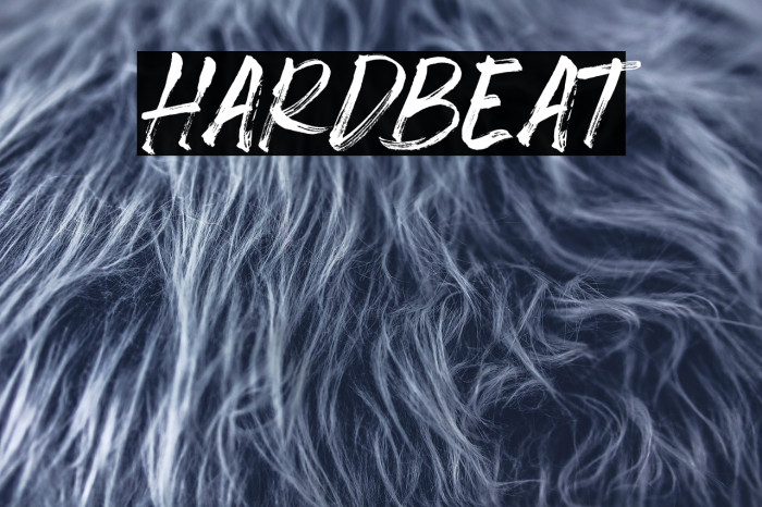 Hardbeat Example 3