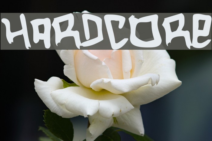 Hardcore Шрифта examples