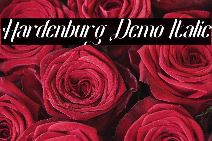 Hardenburg Demo Italic Example 2