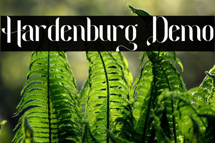 Hardenburg Demo Example 3